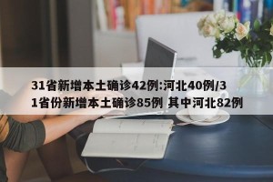 31省新增本土确诊42例:河北40例/31省份新增本土确诊85例 其中河北82例