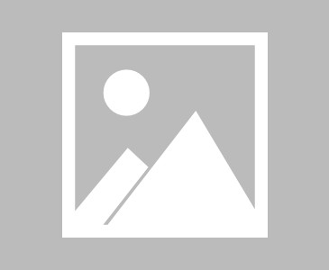 韵达快运查询单号码:韵达快运查询单号码查询物流